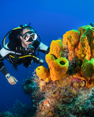 scuba diving booking software